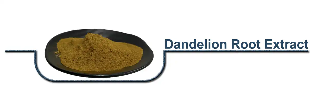 Dandelion Root Extract.jpg